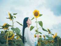 郑州晟禾生物科技有限公司