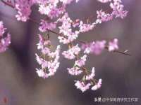 郑州晟禾生物科技有限公司