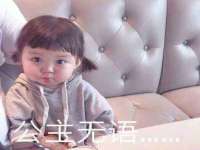 郑州晟禾生物科技有限公司