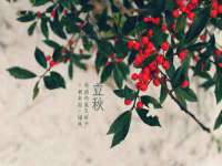 郑州晟禾生物科技有限公司