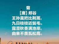 郑州晟禾生物科技有限公司