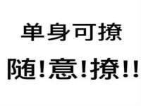 郑州晟禾生物科技有限公司