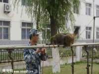 郑州晟禾生物科技有限公司