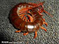 郑州晟禾生物科技有限公司