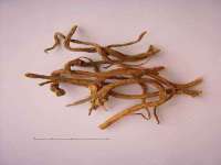 郑州晟禾生物科技有限公司